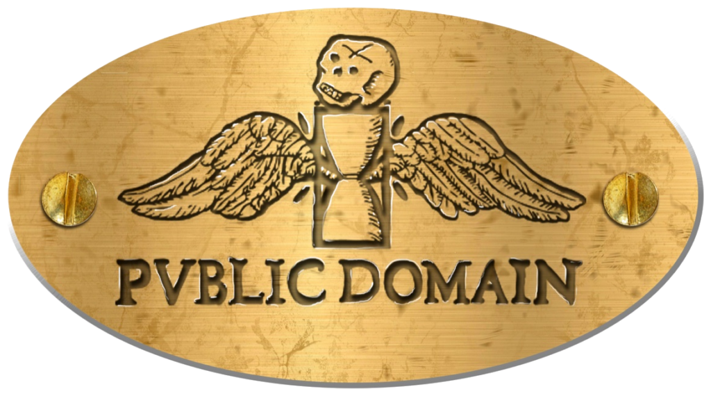 PVBLIC DOMAIN brass plaque